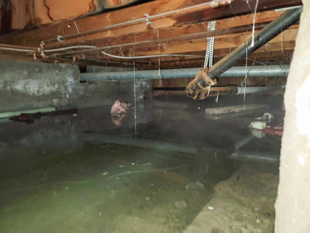 Professional Water damage restoration in Flomaton, AL
