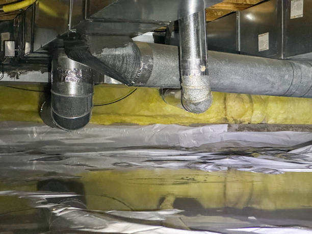 Best Flood damage cleanup  in Flomaton, AL