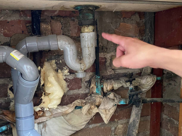 Best Water damage restoration near me  in Flomaton, AL