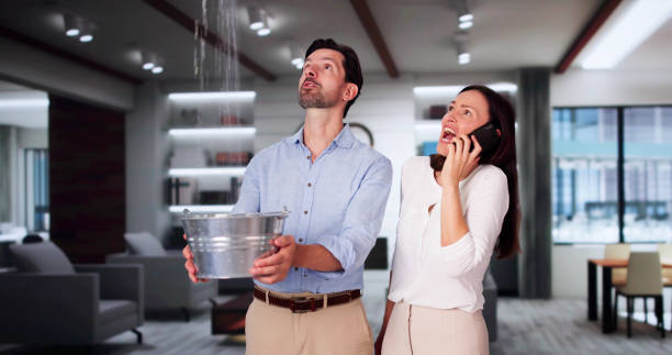 Best Carpet water damage restoration  in Flomaton, AL